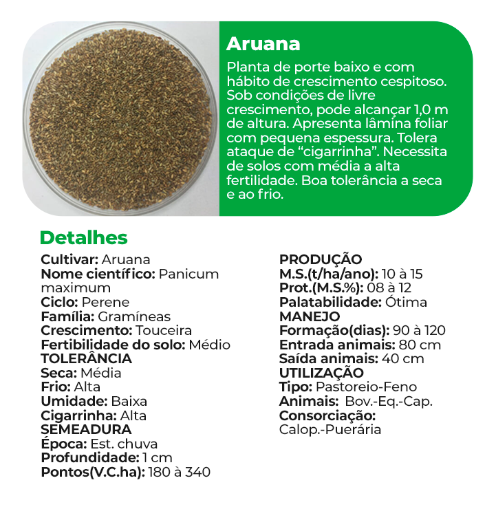 Aruana