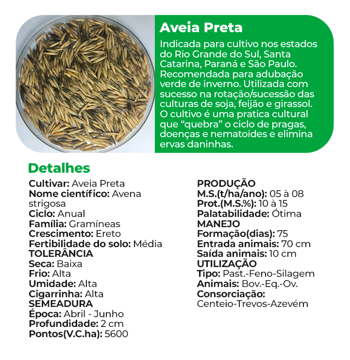 Aveia Preta