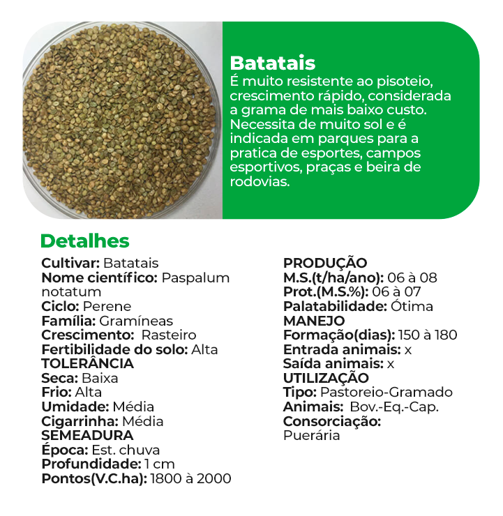 Batatais