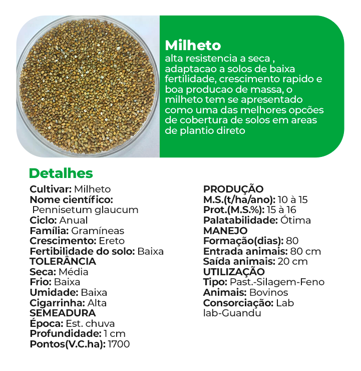 Milheto