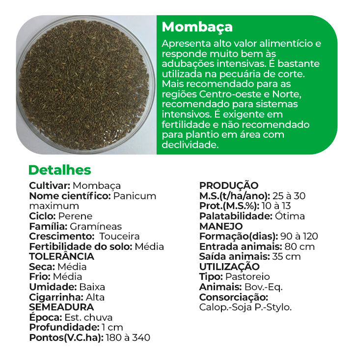 Mombaça