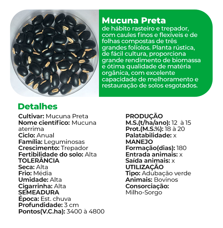 Mucuna Preta