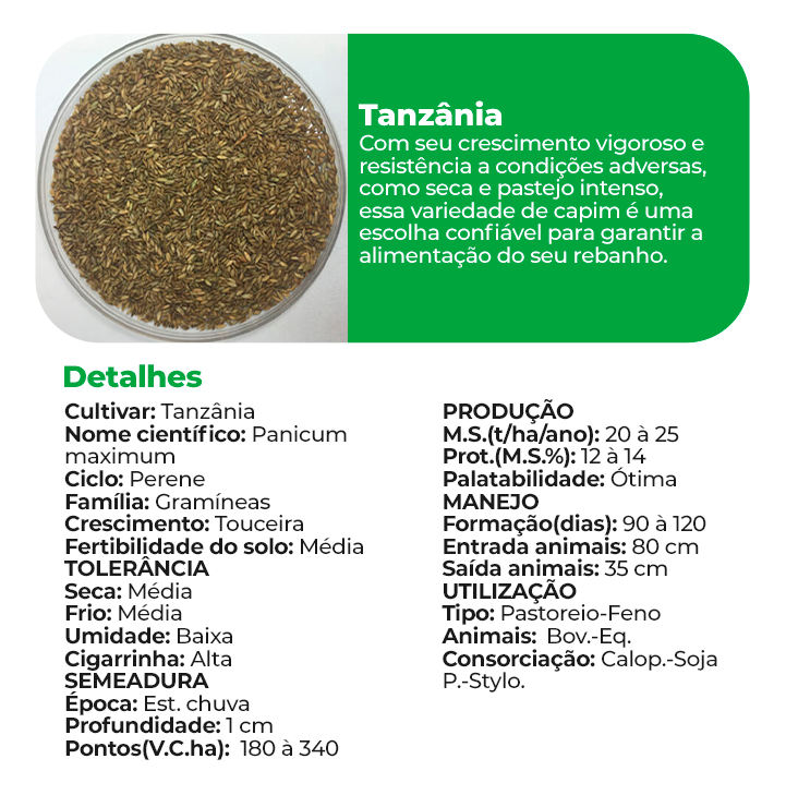 Tanzânia