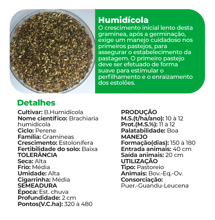 humudícola